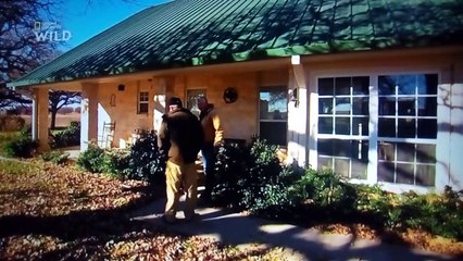 Les aventures de Brady Barr : Cochon très sauvages