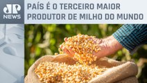 Ministro da Agricultura propõe preço mínimo para milho brasileiro; saiba detalhes