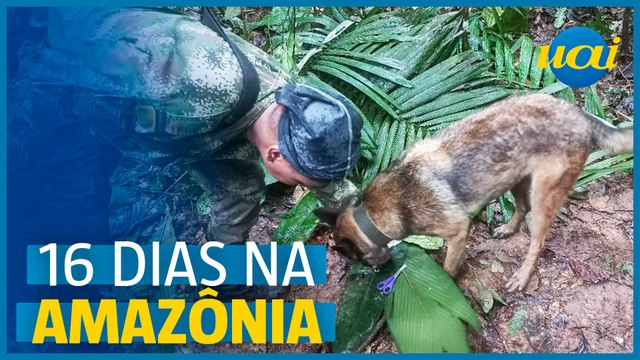 Crianças perdidas na Amazônia colombiana são encontradas
