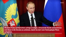 Wladimir Putin will streunende Hunde in der Ukraine mobilisieren