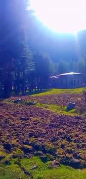 Kumrat Valley Natural Beauty Pakistan