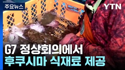 G7 정상회의 제공 후쿠시마 식재료...수입 재개 목소리 커지나? / YTN