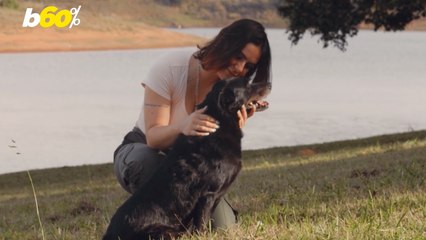 You're Not Alone If You Think Your Pet Is Your Soulmate