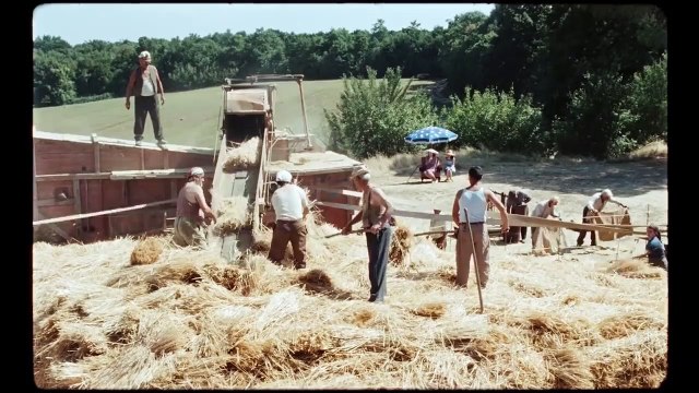 Lazzaro feliz (2018) - Tráiler Español