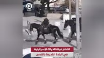 انتشار فرقة الخيالة الإسرائيلية في البلدة القديمة بالقدس