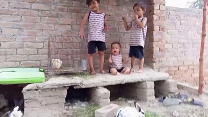 Today the little girl is accompanied by the rabbit and her brother