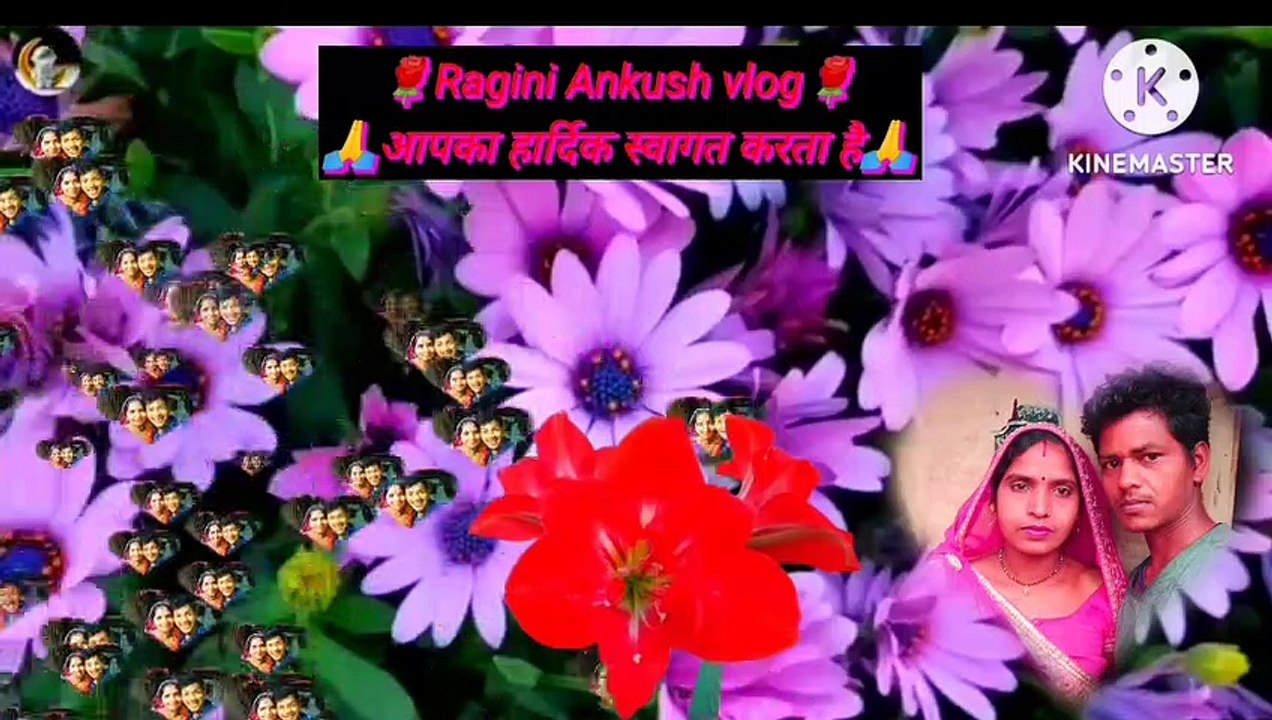 Vlogs VLOGGER Blog blog