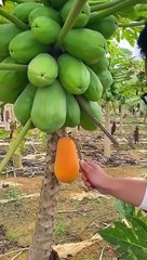 Nature is beauty  and the beauty of Pakistan