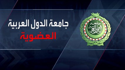 هل تختلف عضوية دول عربية عن أخرى في الجامعة العربية؟