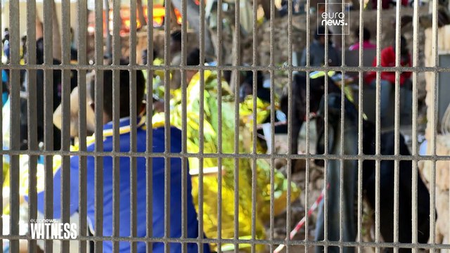 NGOs in Italy slam Europe for allowing migrant deaths in the Mediterranean