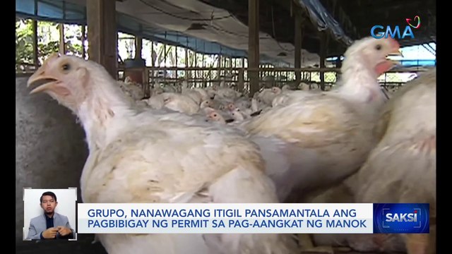 Grupo, nanawagang itigil pansamantala ang pagbibigay ng permit sa pag-aangkat ng manok | Saksi
