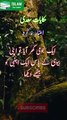 اعتبار نہ کرو | Hikayat E Saadi |