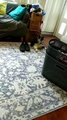 What Are You Lookin' At?