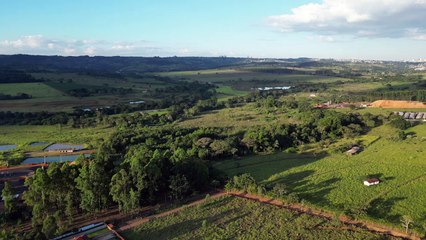 dji mini 3 pro small flew