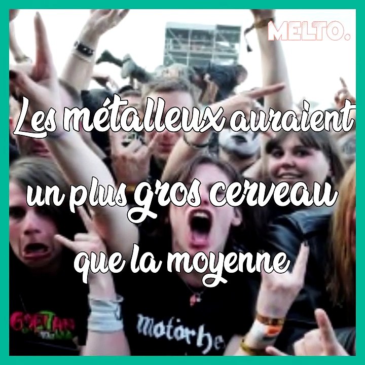  les metalleux ont de gros cerveaux