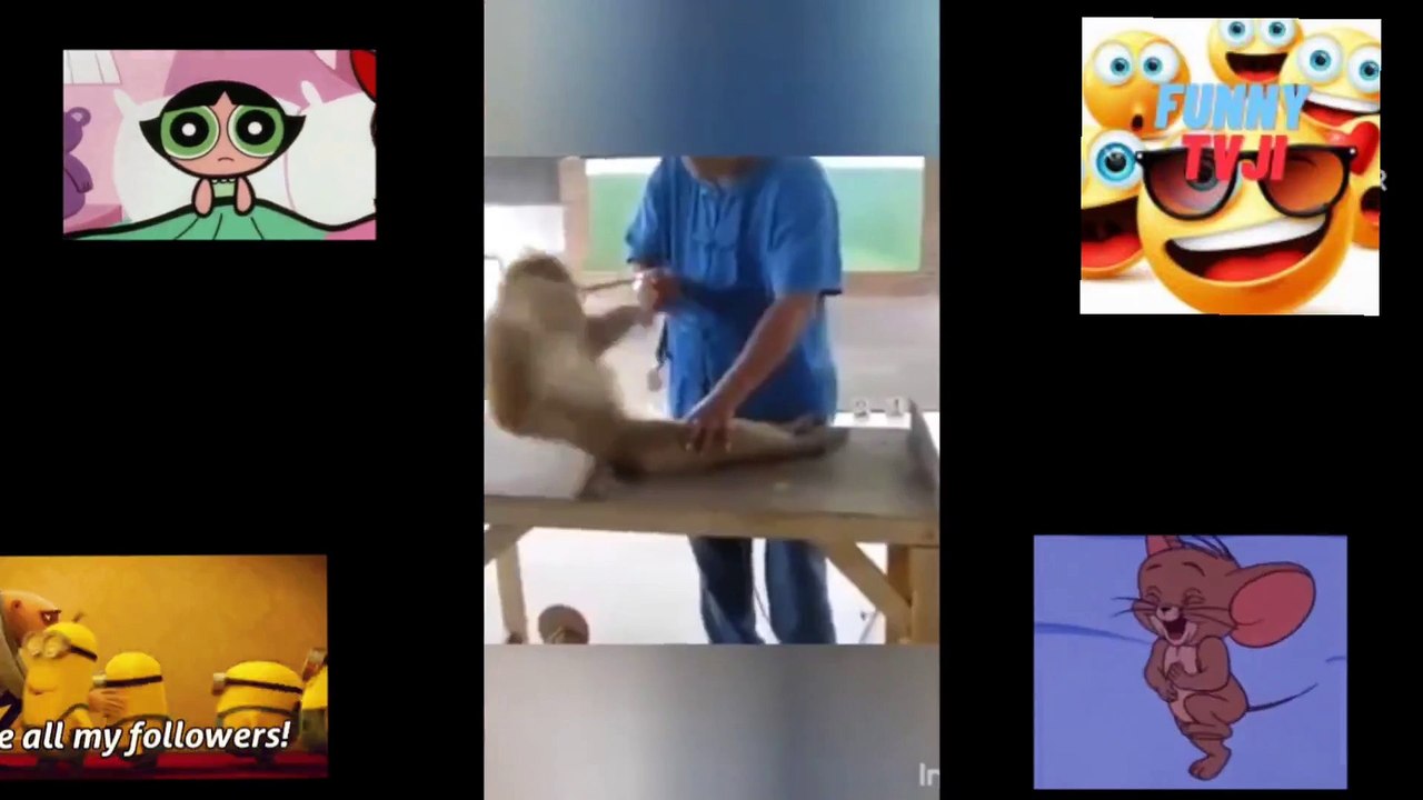 FUNNIEST MOMENTS 44