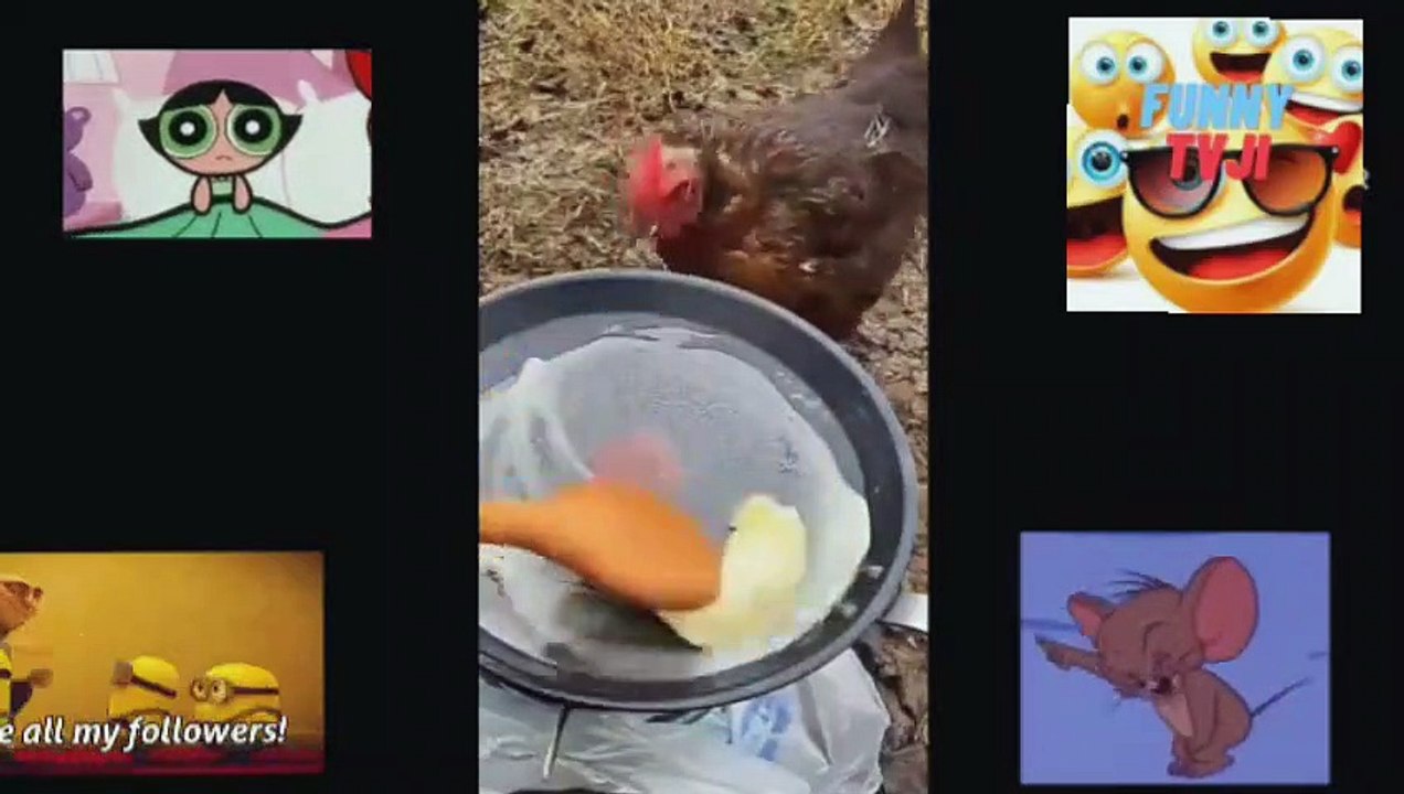 FUNNIEST VIDEO OF ANIMALS 88
