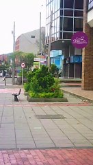 El prestigioso sector del norte de Bogotá que se está volviendo un nido de “Cariñosas”