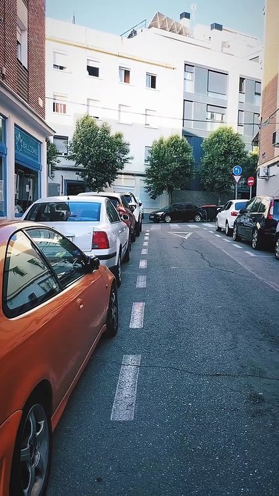 V A N E S S A MARICRÓNICA