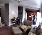 Dog Gets The Zoomies