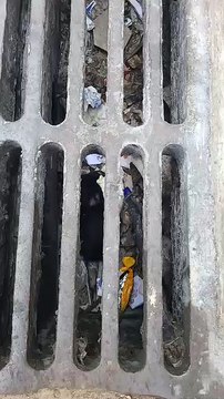 Piden ayuda para rescatar a un gatito atrapado en un drenaje en pleno centro cruceño