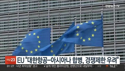 EU "대한항공-아시아나 합병, 경쟁제한 우려"