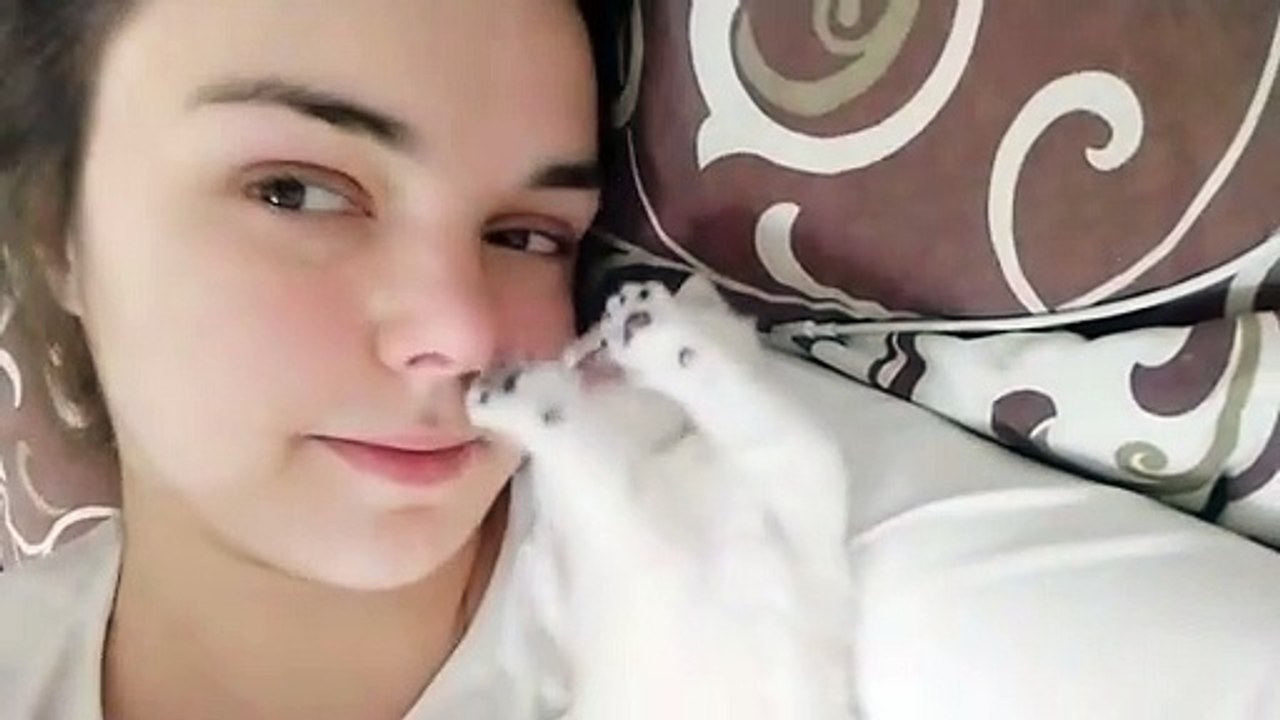 Funny Tiny kitten sneezed at me  Too CUTE