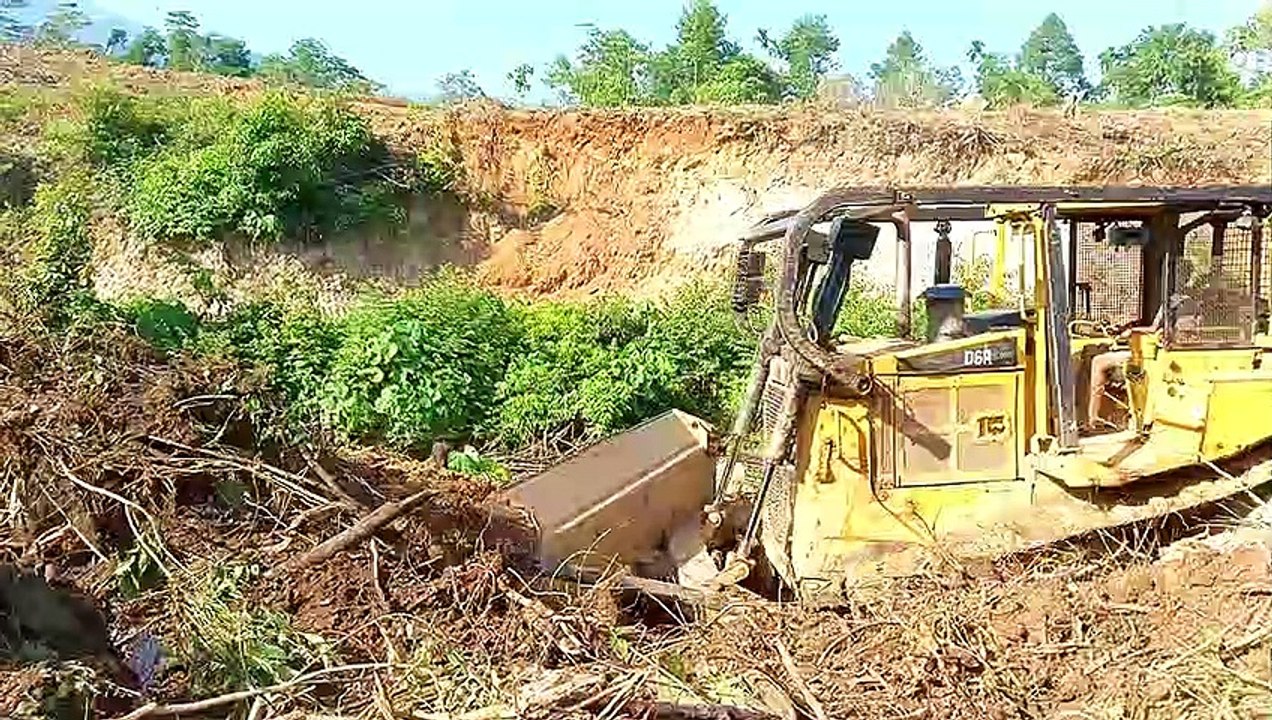 When the D6R XL Bulldozer Working in an Oil Palm Plantation Suddenly Smoke Comes Out