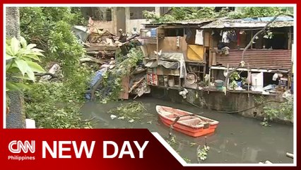 2 dead, 5 hurt after Balete tree falls along Manila creek | New Day