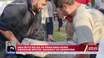 Mga buto ng isa sa pinakamalaking dinosaur species, nahukay sa Argentina | UB