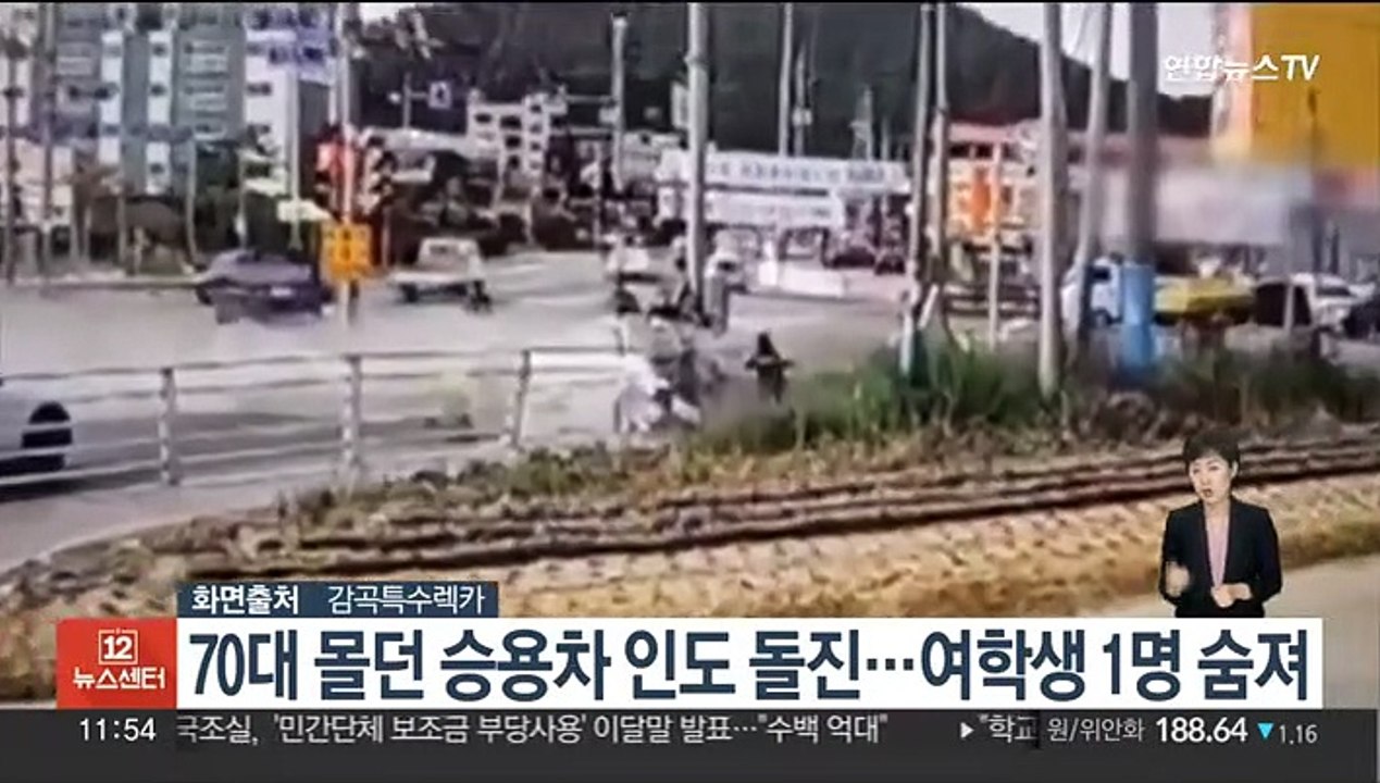 70대 몰던 승용차 인도 돌진…여학생 1명 숨지고 1명 중상