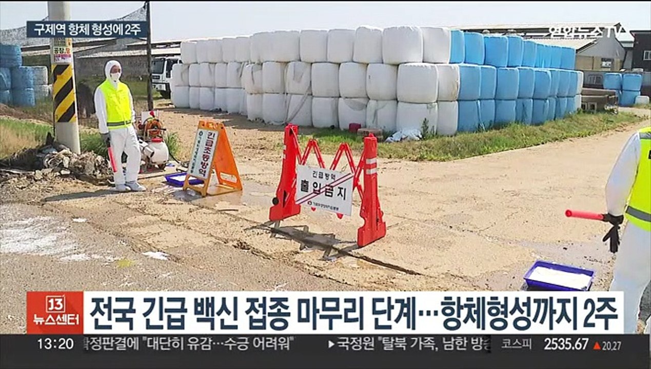 야금야금 번지는 구제역…추가 방역 효과는 이달 말부터