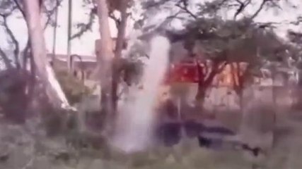 सभंल: बिजली के तार से राजकीय महाविद्यालय के प्रांगण में लगी आग