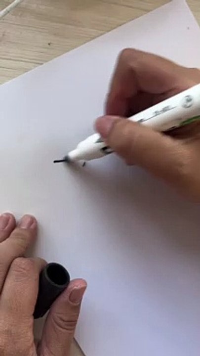 Fun with ant 
