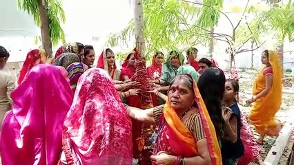 Women observe Vat Savitra fast for long life of Suhag