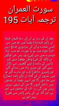 Ayat 195 surah al imran Quran with urdu translate Islamic vidio Islamic status Quran Holy quran. Al quran