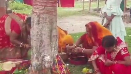 सुपौल: वट-सावित्री पर महिलाओं ने व्रत रखकर की अखंड सौभाग्य की कामना