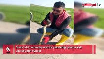 Yakaladığı yılanla kedi yavrusuyla oynar gibi oynadı