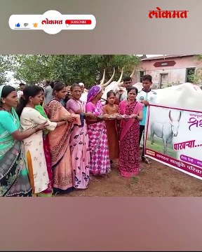 शेतकऱ्याचं अन् बैलाचं नातं किती गहिरं असू शकतं हे दर्शवणारी पुण्यातील घटना पाहा...