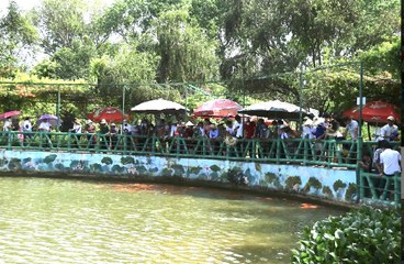 Hàng trăm nghìn du khách nối nhau về thăm quê Bác những ngày tháng 5