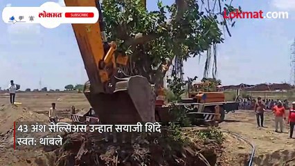 43 अंश तापमान, -सयाची शिंदे 'त्या'-झाडासाठी उतरले-रस्त्यावर-