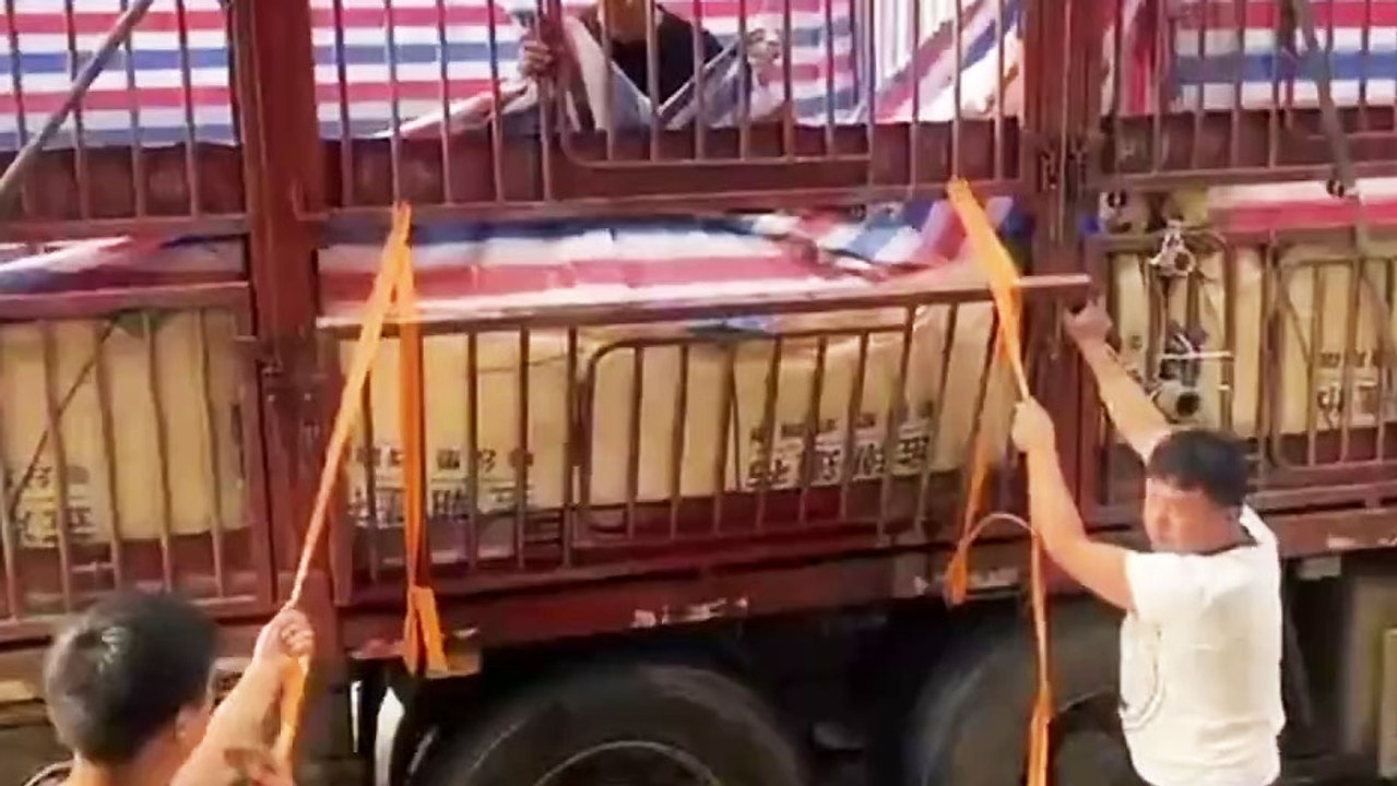 Brougnator vide la cargaison