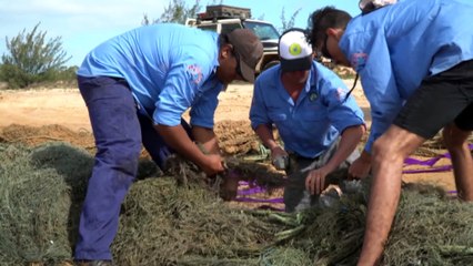 Government funding boost to help combat dangerous netting