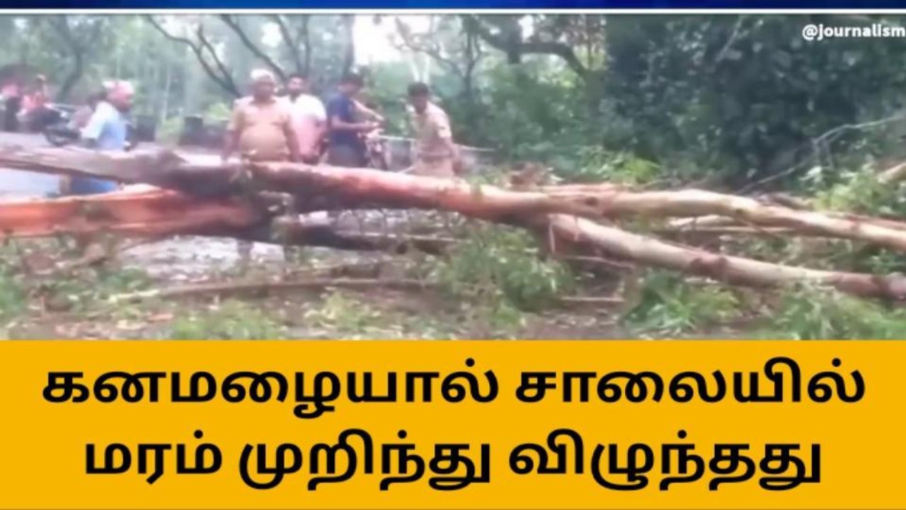 நாமக்கல்: திடீர் கனமழையால் மரம் விழுந்து விபத்து-போக்குவரத்து பாதிப்பு