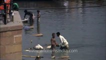 People wash clothes in the holy sacred water of Ganga, Varanasi