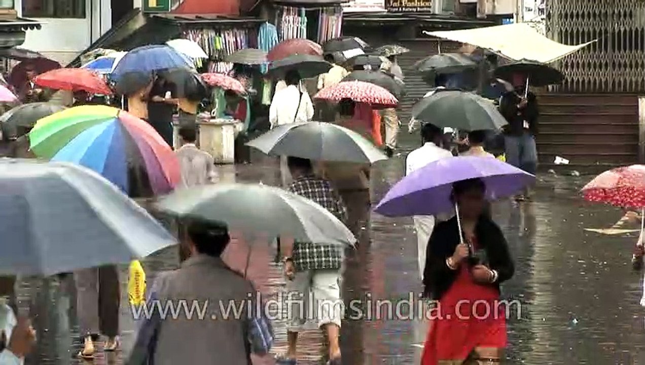 Under their umbrellas in Shillong, Meghalaya