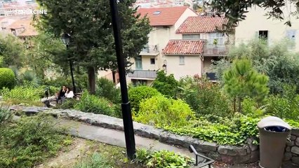 Monster Crítica Festival de Cannes