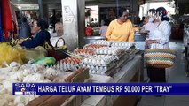 Harga Telur Ayam di Bali Tembus Rp 50.000 Per Tray