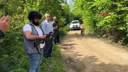 Trabzon'da ayı kurtarma operasyonu