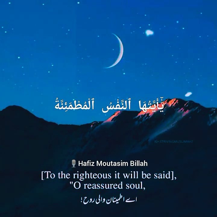 Surah Fajar With English_Urdu Translation -- Quran Recitation -- WhatsApp Status